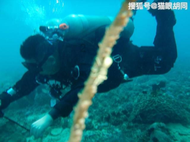 空闲农场