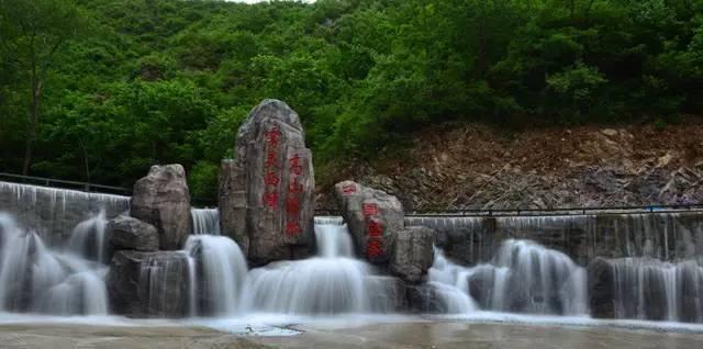 逃离魔法之森