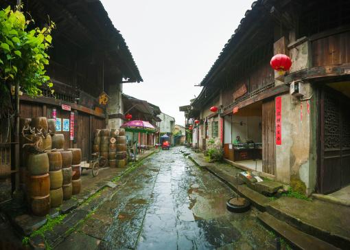 植物大战僵尸12